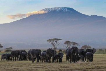 All you need to know for a safe trip to Mount Kilimanjaro, Africa